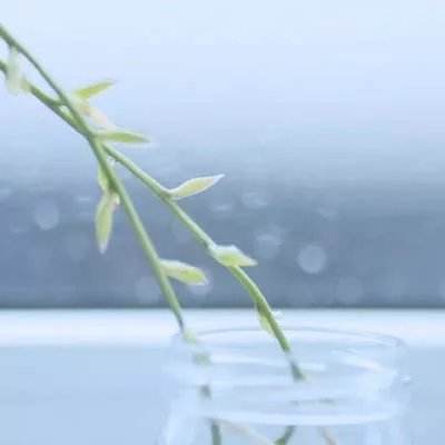 心之魔法师手游(暂未上线)v1.0.0 安卓版